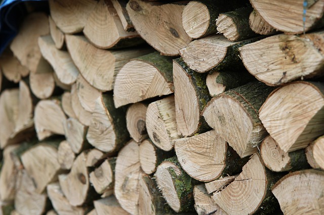 Range Buche et Abri Buche pour Stocker le bois de cheminée