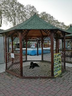 Pavillon de Jardin en Bois Octogonal CHOPIN